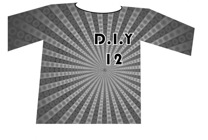 DIY12 